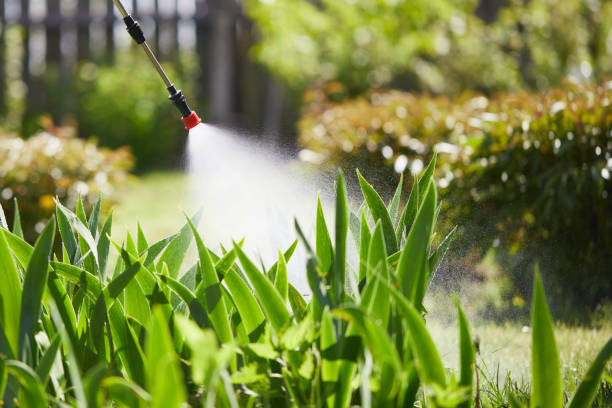 24/7 Emergency Wasp Removal experts in Morganton, NC