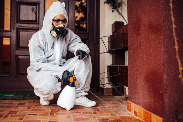 Reliable Wasp Removal contractor in Morganton, NC by Show Me Pest Control